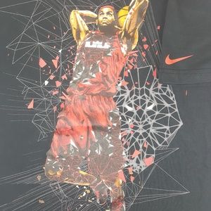 Nike Dri Fit Lebron James Dunking Basketball Tee